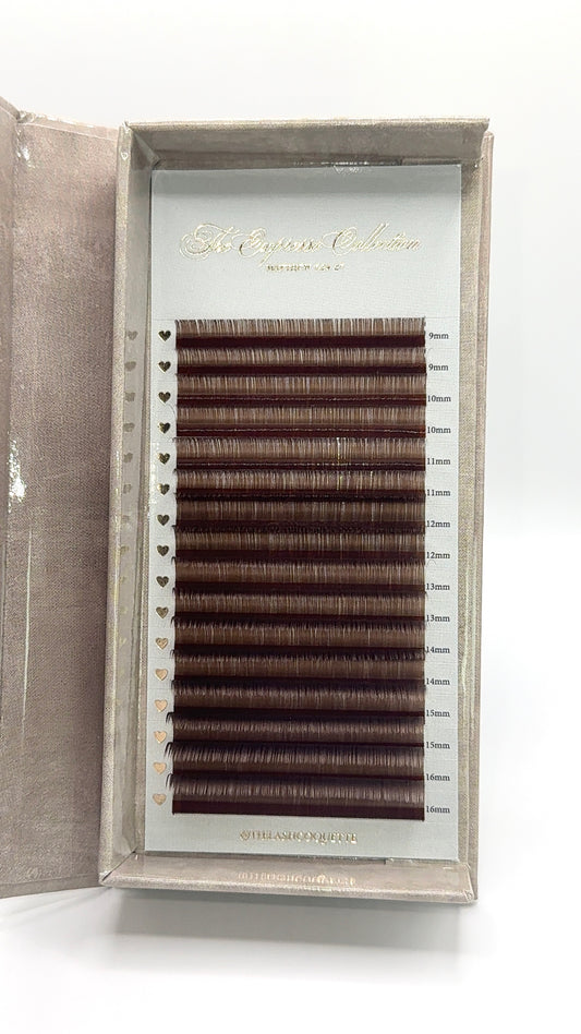 Expresso Collection 🧸☕️